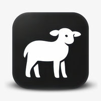 Lamb